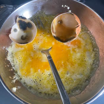 Sade Organik Ürünler Organik Yumurta Satın Alımında Karşılaşılan Sorun