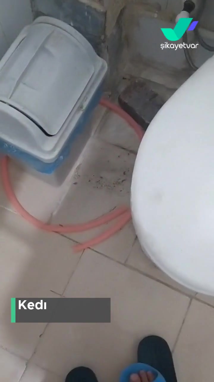 İBB - İstanbul Büyükşehir Belediyesi Evdeki Tuvaletten Sürekli Lağım Taşıyor! videonun kapak resmi