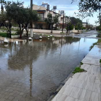 İzmir Dikili Belediyesi Sudan Dolayı Evden Çıkamıyoruz