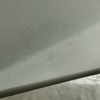 Filli Boya Kalitesiz Boya Deneyimi