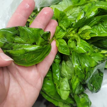 Migros Sanal Alışverişte Beklenenin Altında Kalan Ürün Deneyimleri