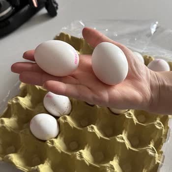 Nevgross Beklenenden Küçük Yumurtalar Ve Müşteri Memnuniyetsizliği