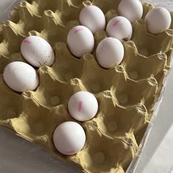 Nevgross Beklenenden Küçük Yumurtalar Ve Müşteri Memnuniyetsizliği