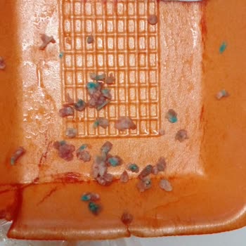 Sahra Grup Et Yabancı Cisimli Kıyma