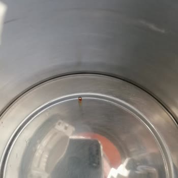 PHILIPS Ev Aletleri Philips Kettle Su Isıtıcı Krom İçi Paslanması