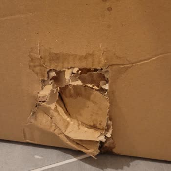 Kalitesiz İlgisiz Gönderi Ebebek