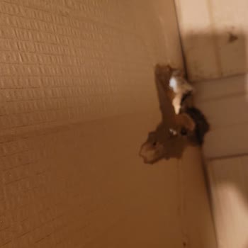 Kalitesiz İlgisiz Gönderi Ebebek