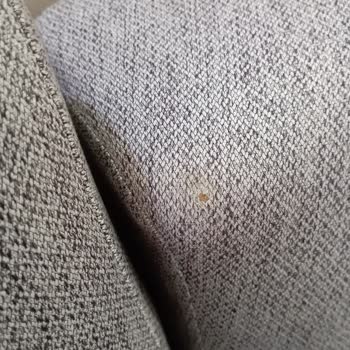 Mondi'den Gelen Yırtık Koltuk