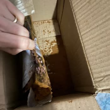 Tuğba Kuruyemiş Yırtık Paket İçinde Dökülerek Elime Ulaşan Kahve