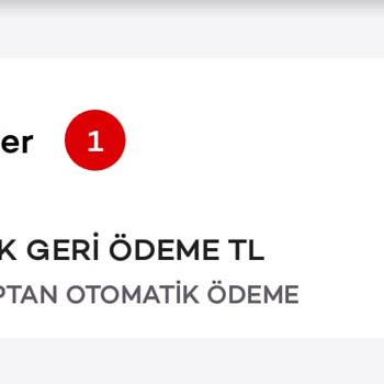 Akbank Visa/ Mc Kk Geri Ödeme Adı Altında Otomatik Ödeme Çekilmesi