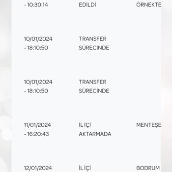 PTT Kargo Kargo Teslimat Sürecinde Yaşanan Aksaklıklar