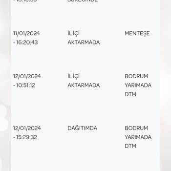 PTT Kargo Kargo Teslimat Sürecinde Yaşanan Aksaklıklar