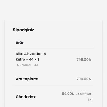 BygWear Defolu Nike Air Jordan Retro 4