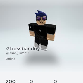 ROBLOX Hesap Erişim Sorunu Ve Çözüm Talebi