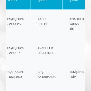 PTT Kargo Dağıtım Sürecinde Yaşanan Gecikme Hakkında Şikayet