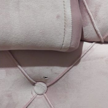 Lucetta Concept Koltuk Takımı Çok Kötüydü