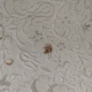 Akyıldız Halı Yıkama Halı Yıkama Hizmetinden Memnuniyetsizlik