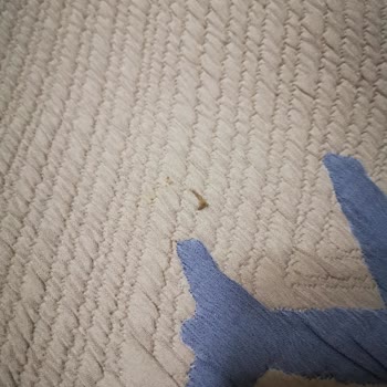 Defolu Yatak Örtüsü Yataş