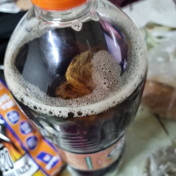 Çaykur Didi Hijyen Sorunuyla Karşılaştığım Ürün Deneyimi