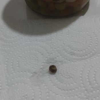 A101 Çokça İnsan Sağlığı İle Oynuyor