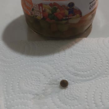 A101 Çokça İnsan Sağlığı İle Oynuyor