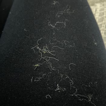 Halley Peluş Oyuncak Fabrikası Civil Halley Peluş Oyuncaktan Plastik Parçacıkları Çıktı