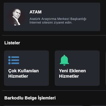 E-Devlet (Turkiye.gov.tr) Giriş Hatası
