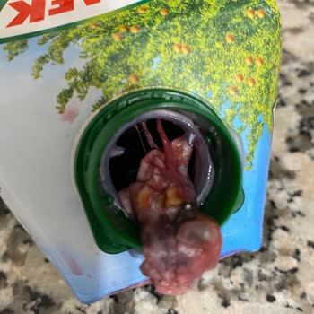 Tamek Meyve Suyu İçinden Çıkan Tuhaf Şey