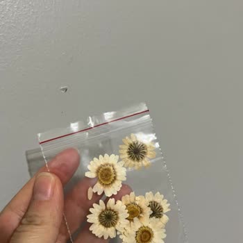 Babu Epoksi Kalıp Epoksi Babu İlgisiz Firma