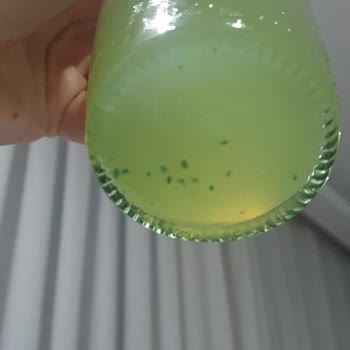 Schweppes Schwepps İçecek İçinde Değişik Parçalar Çıktı.