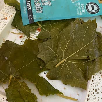 Gurme212 Narince Bağ Yaprağı O Kadar Kötü Ki Sarmamı Sarıyorum Karalahana Mı Belli Değil