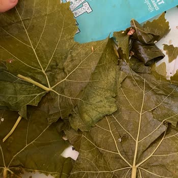 Gurme212 Narince Bağ Yaprağı O Kadar Kötü Ki Sarmamı Sarıyorum Karalahana Mı Belli Değil