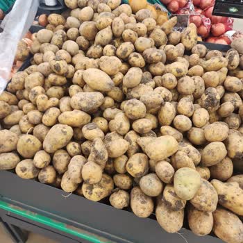 File Market Başakşehir Mavera Çamurlu Patates Sorumsuz Personel