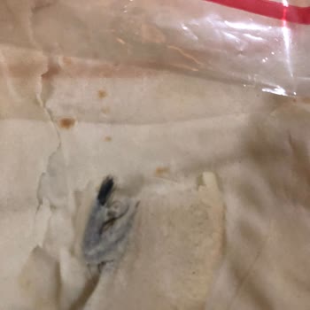 Şok Marketler Seferihisar'da Satın Alınan Yufkada Kıl Bulundu