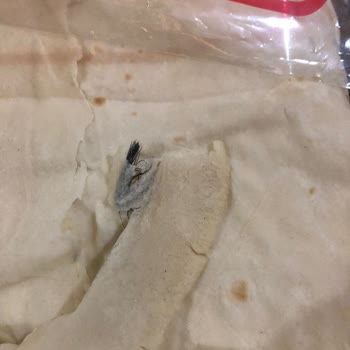 Unmaş Unlu Mamüller Seferihisar'daki Marketten Alınan Yufkada Kıl Bulundu