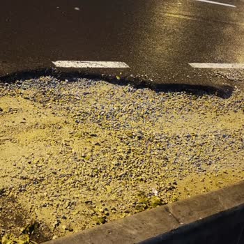 ABB - Ankara Büyükşehir Belediyesi Ankara Büyükşehire Güvenmiştim