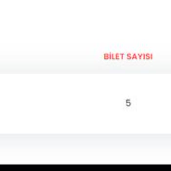 Biletalsat.com Dan Bilet Aldım, E-Bilet PDF Olarak Elime Ulaşmadı!