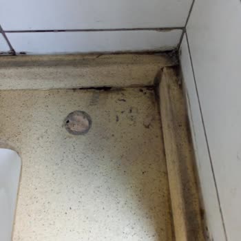 TÜVTÜRK Hijyenik Olmayan Tuvaletler