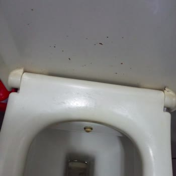 TÜVTÜRK Hijyenik Olmayan Tuvaletler