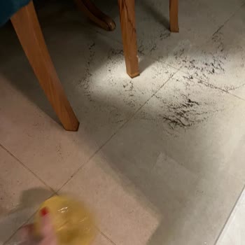 Albert Genau Zararımı Gidermedi!