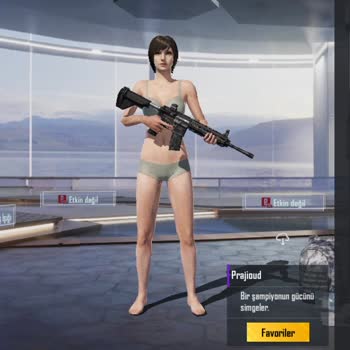 PUBG (Pubgmobile.com) 10 Yıl Ban