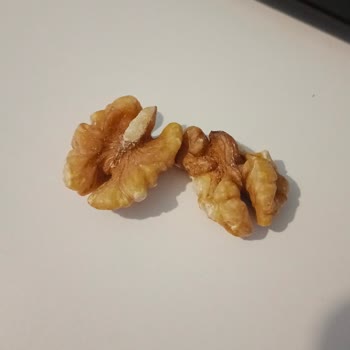 Çitlekçi Ürünleri İnternetten Sipariş