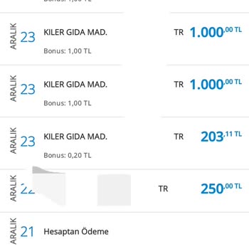 Denizbank Kampanya Bonus Yüklenmemesi