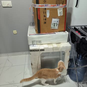 Simfer Mağduriyeti! Müşteri Hizmetleri İş Bilmezliği!