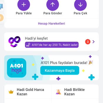 Hadi TOM Pay "A101" Ve "Hadi" Yatırılan Parayı El Koyuyorlar!