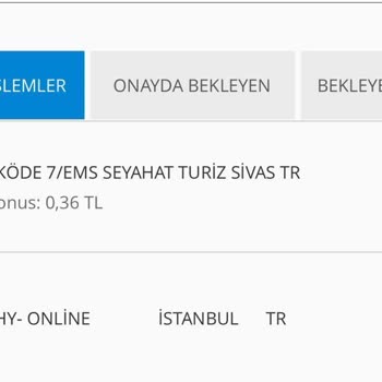Türk Hava Yolları Bilet İşlemleri Ems Seyahat Turizm