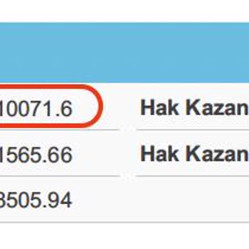 Anadolu Hayat Emeklilik Eksik Hesaplanan Ayrılma Parası
