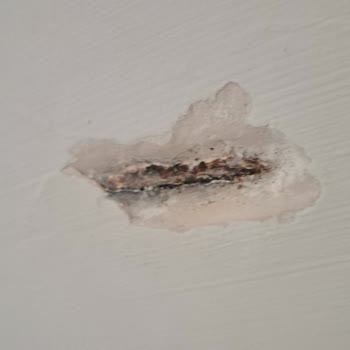 Demirhanlar Banyo Mutfak Yapı Mimarlık Demirhanlar Gebze Seramik İnşaat Firması