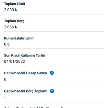 Yapı Kredi Bankası Kredi Kartı Hatalı Borç Raporu!