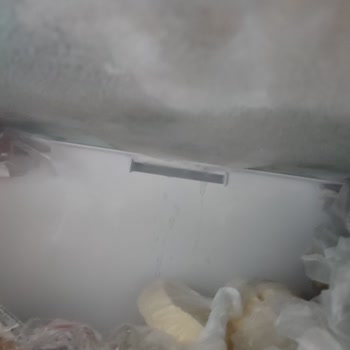 Arçelik Buzdolabı Karlama / Buzlama Şikayeti